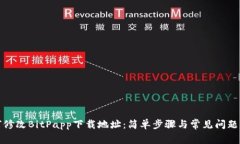 如何修改BitPapp下载地址：