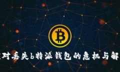 如何应对丢失b特派钱包的