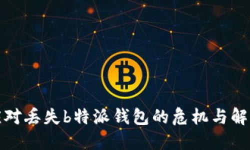 如何应对丢失b特派钱包的危机与解决方案