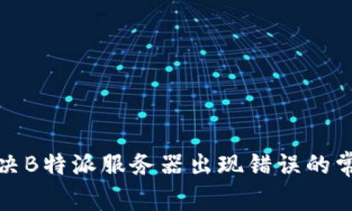 如何解决B特派服务器出现错误的常见问题