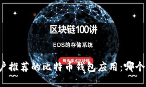 苹果用户推荐的比特币钱包应用：哪个最合适？