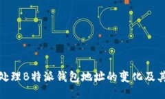如何处理B特派钱包地址的