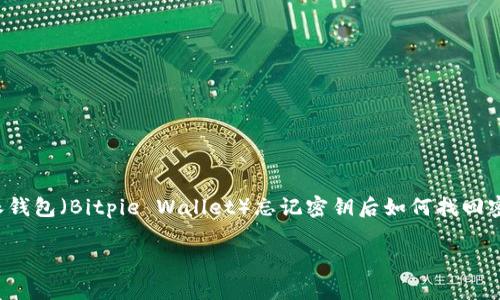 在这次讨论中，我们将会揭示一些关于比特派钱包（Bitpie Wallet）忘记密钥后如何找回密码的详细信息，以及常见的问题和解决方案。

比特派钱包遗失密钥后如何成功找回密码？