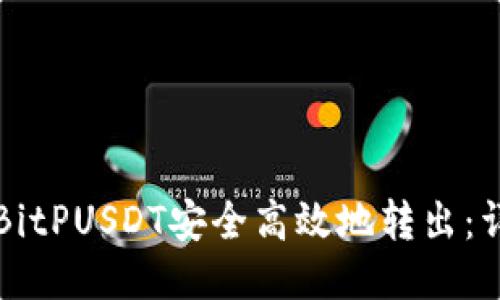 如何将BitPUSDT安全高效地转出：详细指南