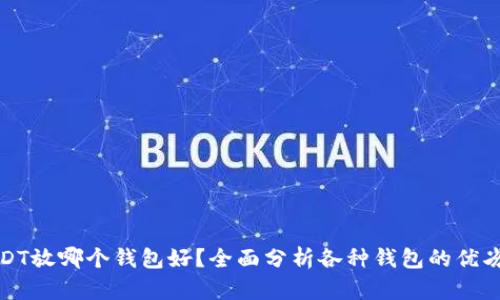 USDT放哪个钱包好？全面分析各种钱包的优劣势