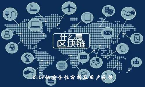 BitP的安全性分析及用户反馈