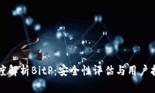 深度解析BitP：安全性评估与用户指导